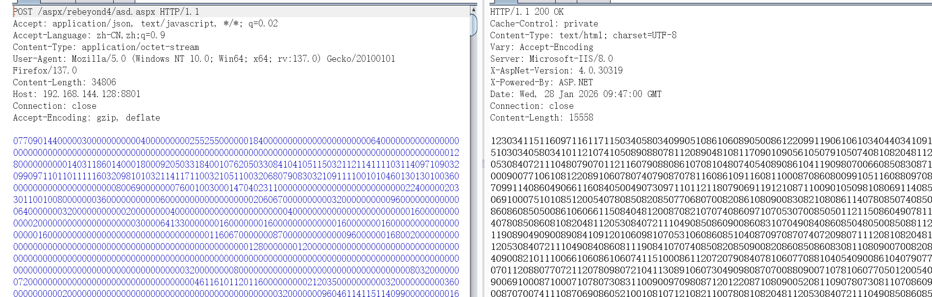 image-20260128174710259