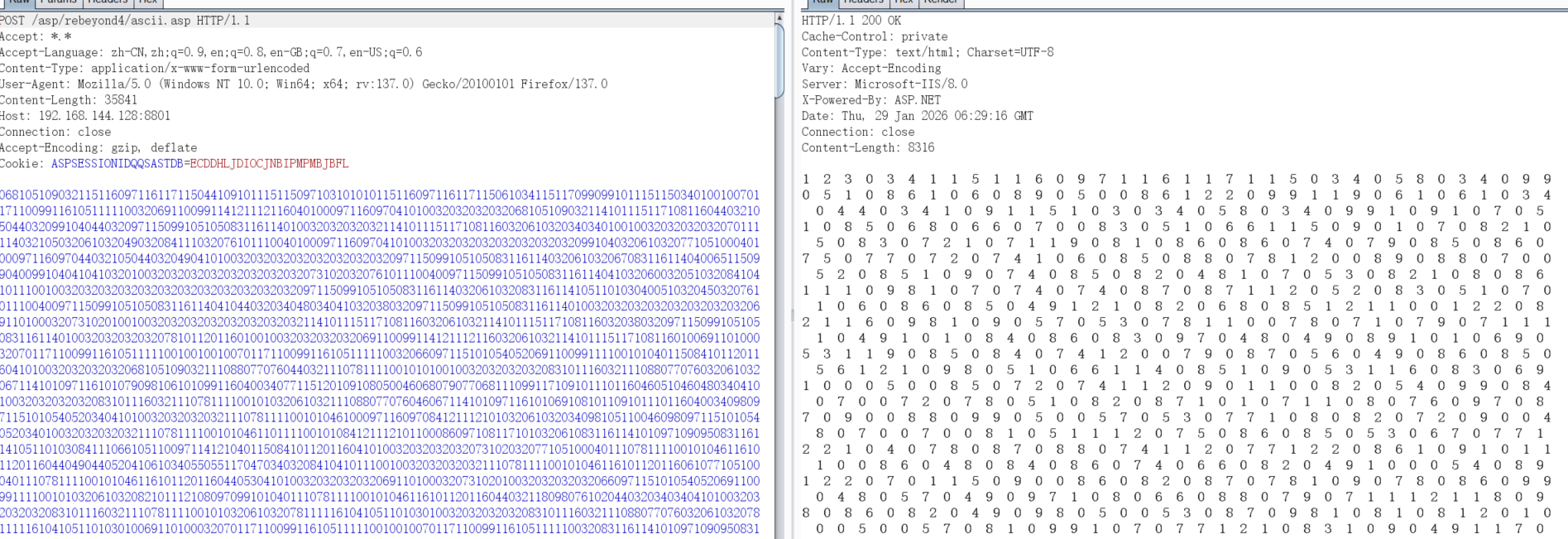 image-20260129142931843