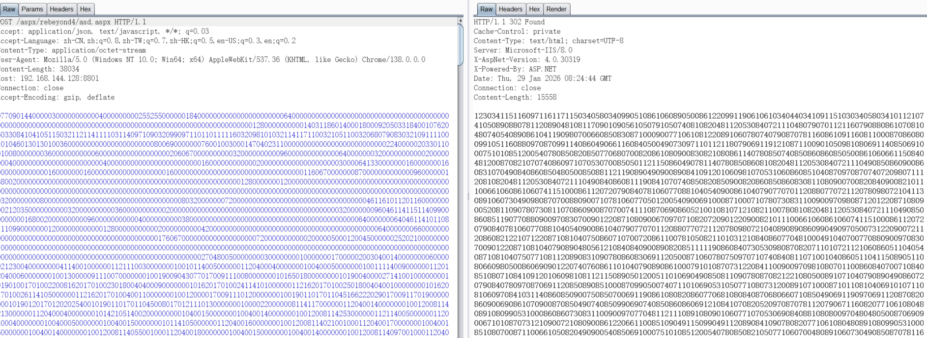 image-20260129162451988