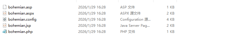 image-20260129162836838