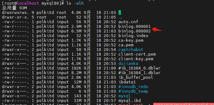 image-20251117145611432